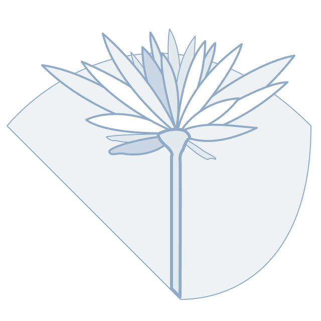 Illustration of flower to represent quality of life